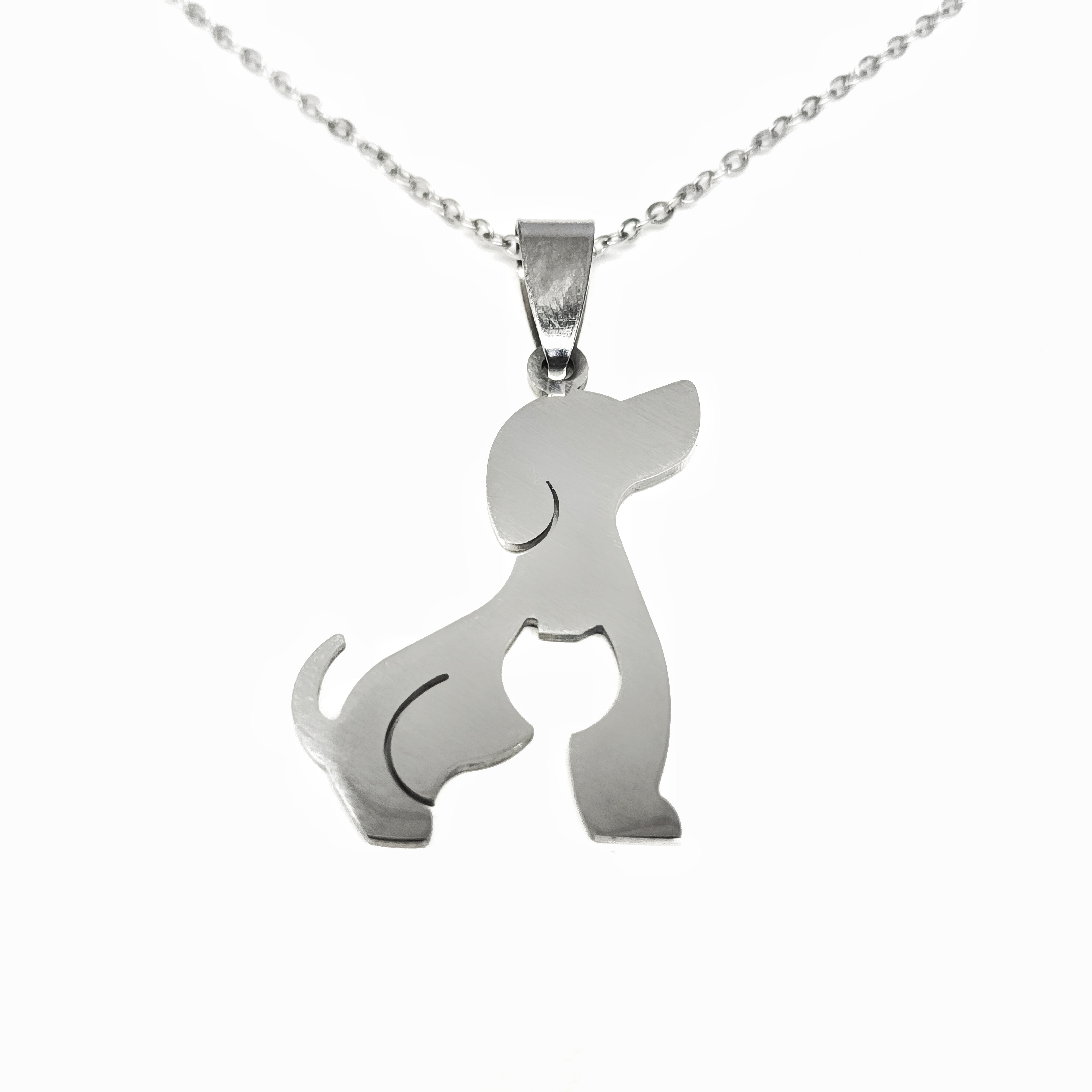 Collar perrito
